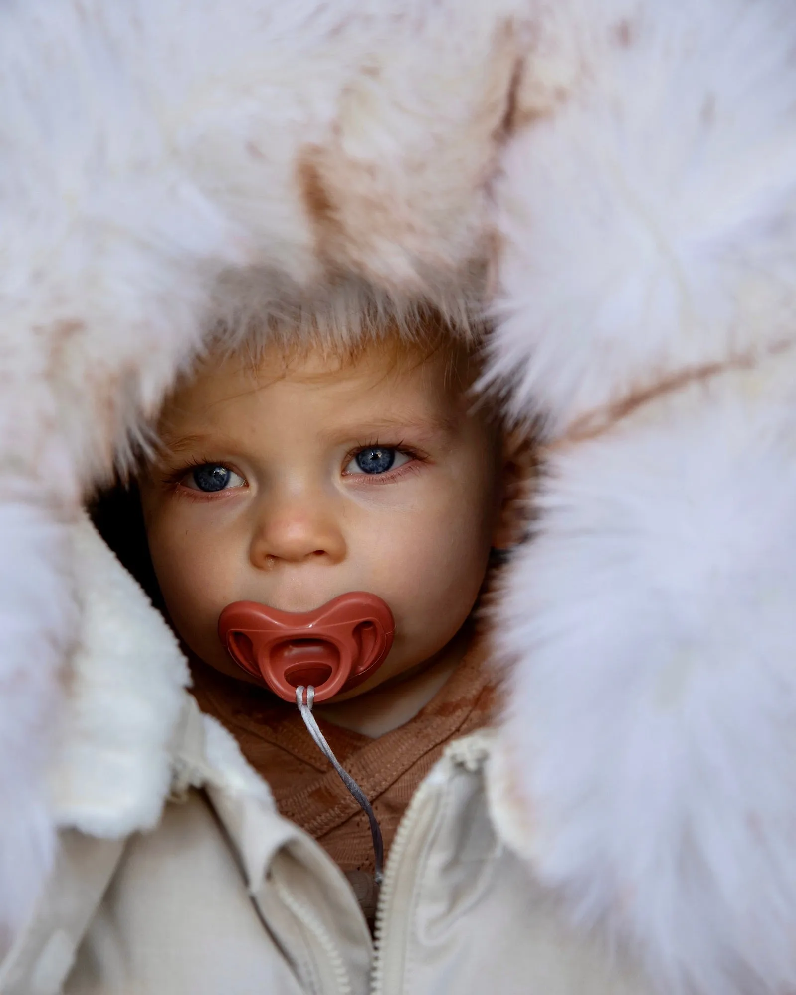 Car Seat Cover Cocoon - Tundra