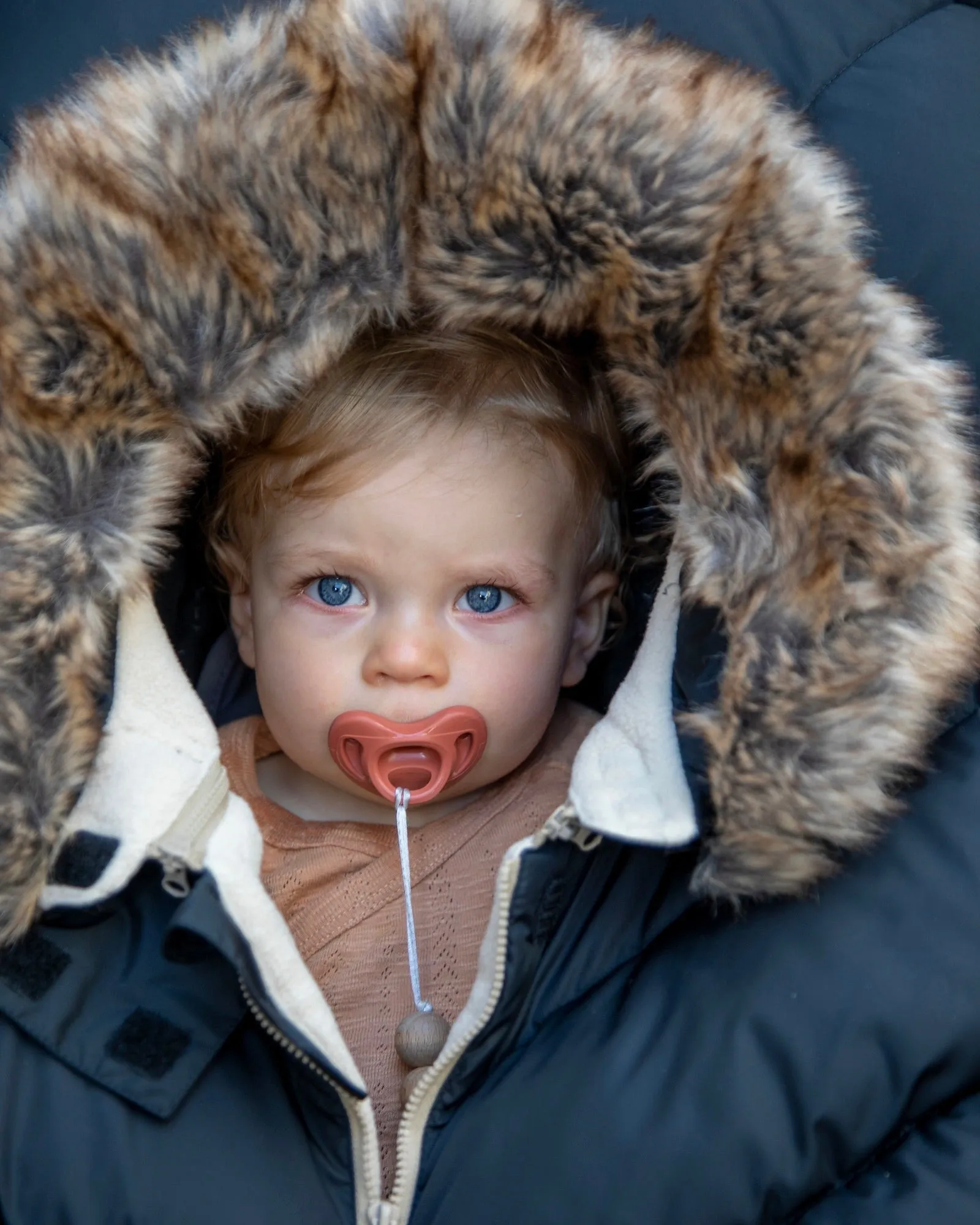 Car Seat Cover Cocoon - Tundra