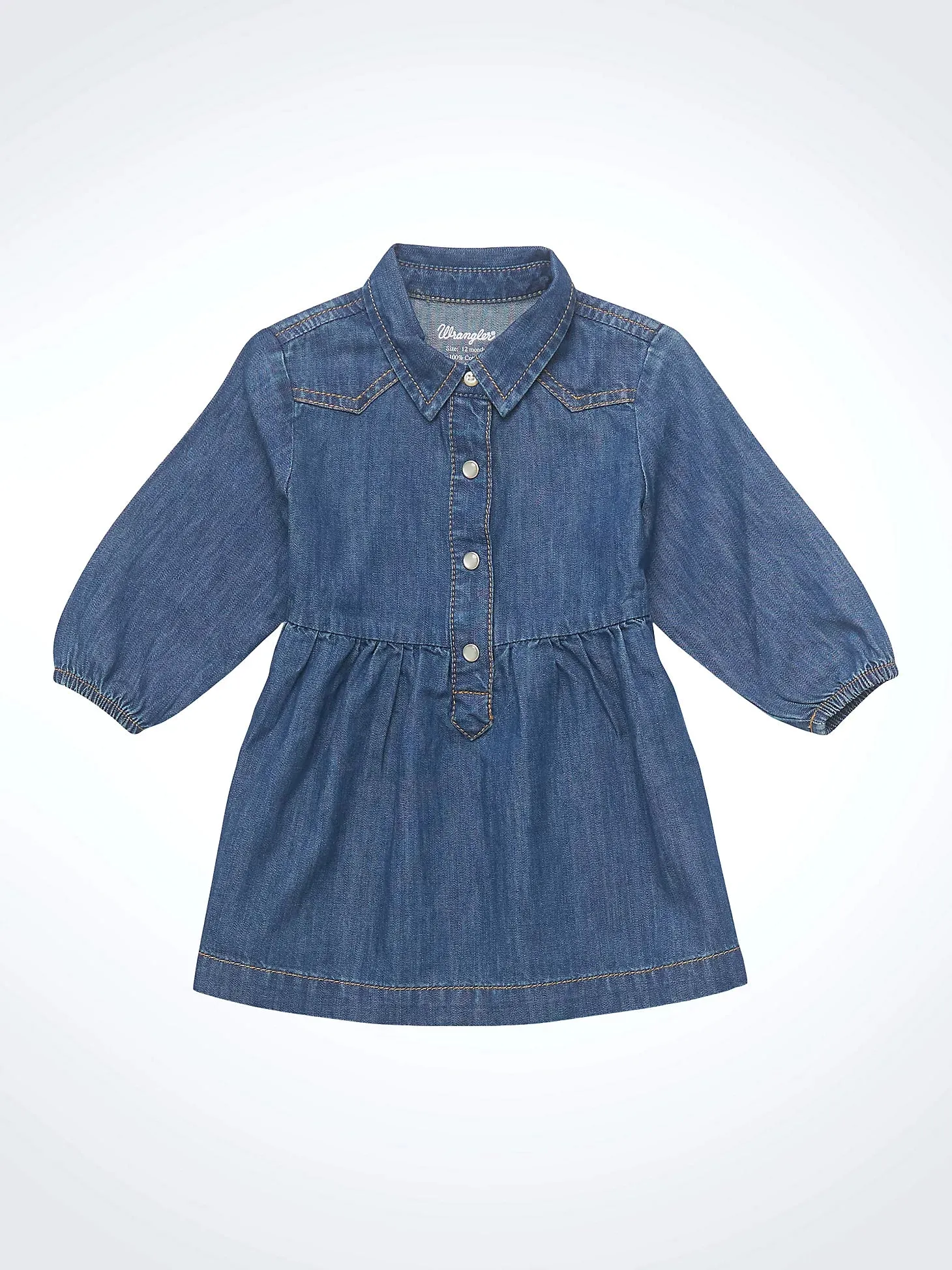 Little Girl's Denim Ruffle Yoke Dress in Blue Denim