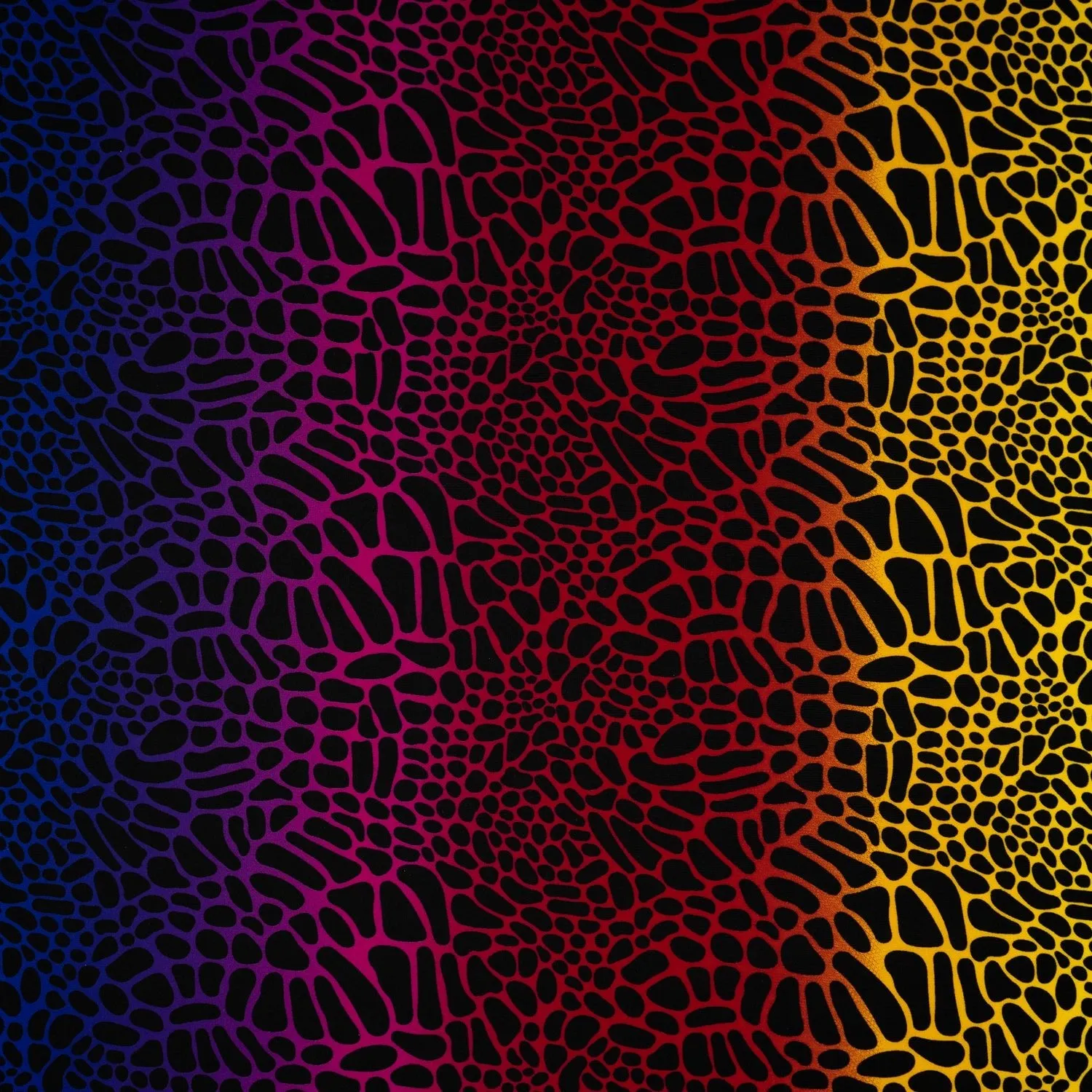 Multicolor Safari Spots Printed Spandex Fabric | Blue Moon Fabrics