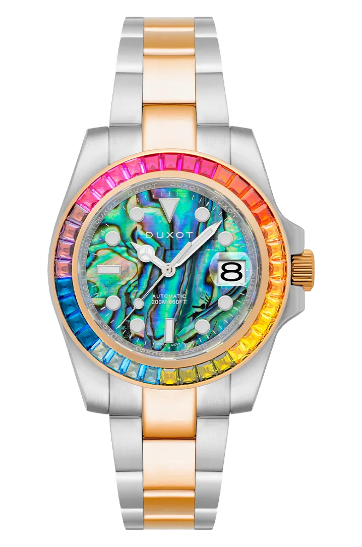 Rainbow Abalone