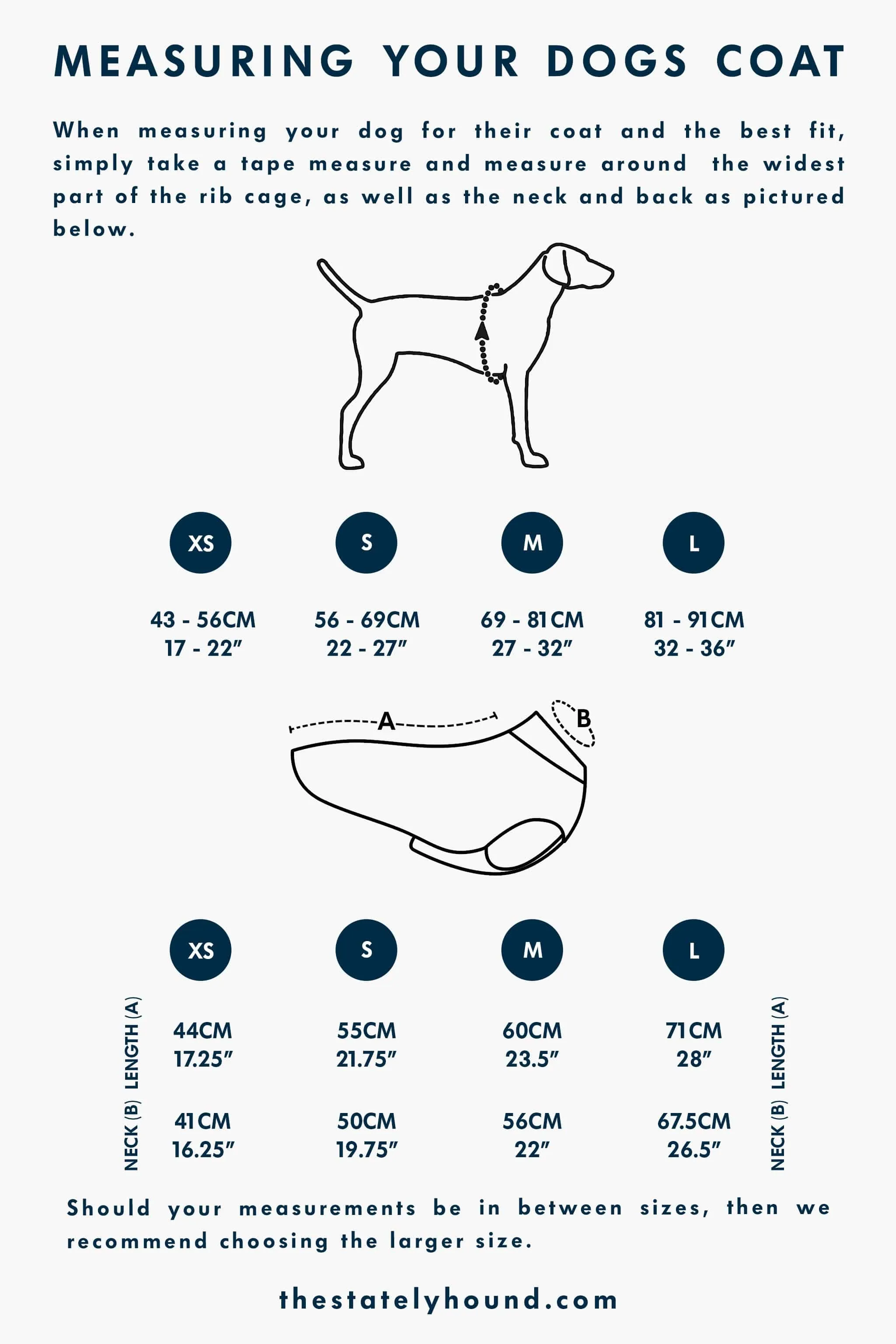Ruffwear Sun Shower Waterproof Dog Jacket | Rainy Day Adventures Await!