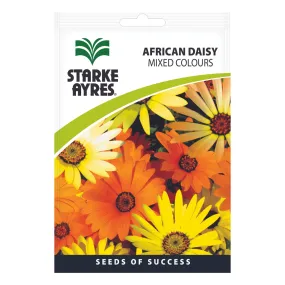 Seeds - African Daisy Mixed Colours