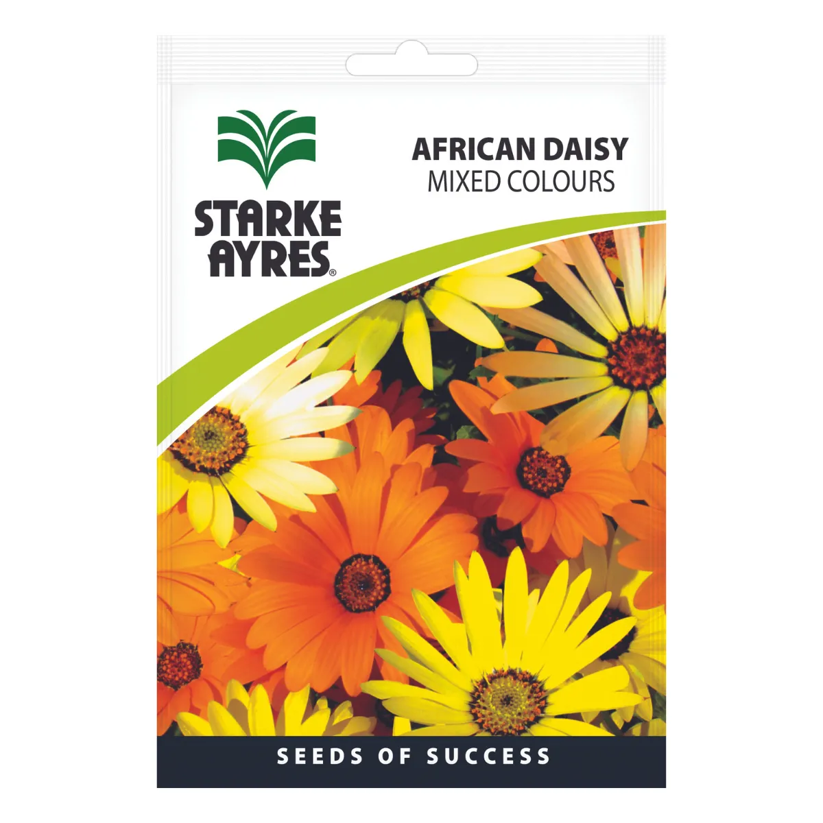 Seeds - African Daisy Mixed Colours