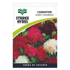 Seeds - Carnation Giant Chaubaud