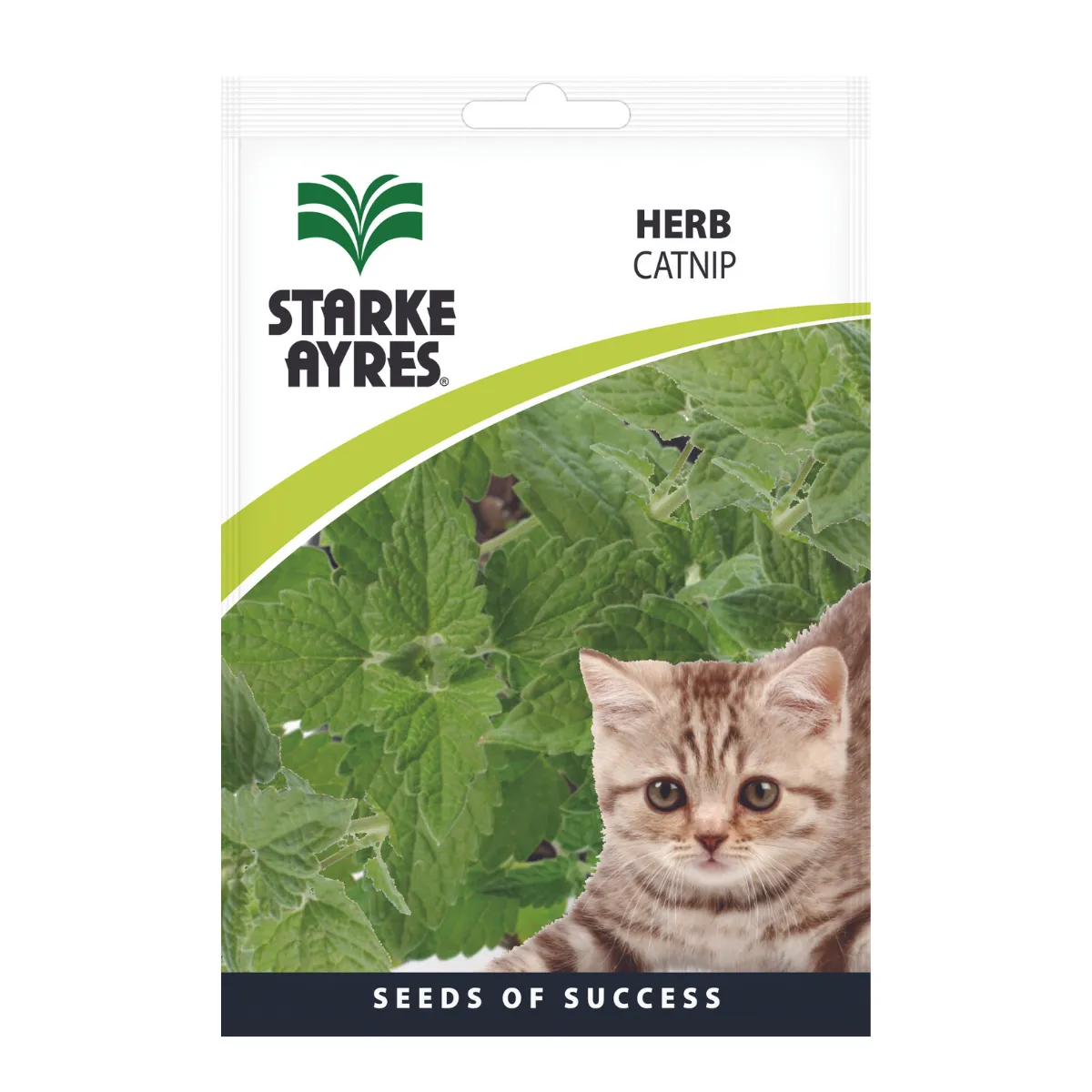 Seeds - Catnip