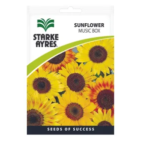 Seeds - Sunflower Music Box