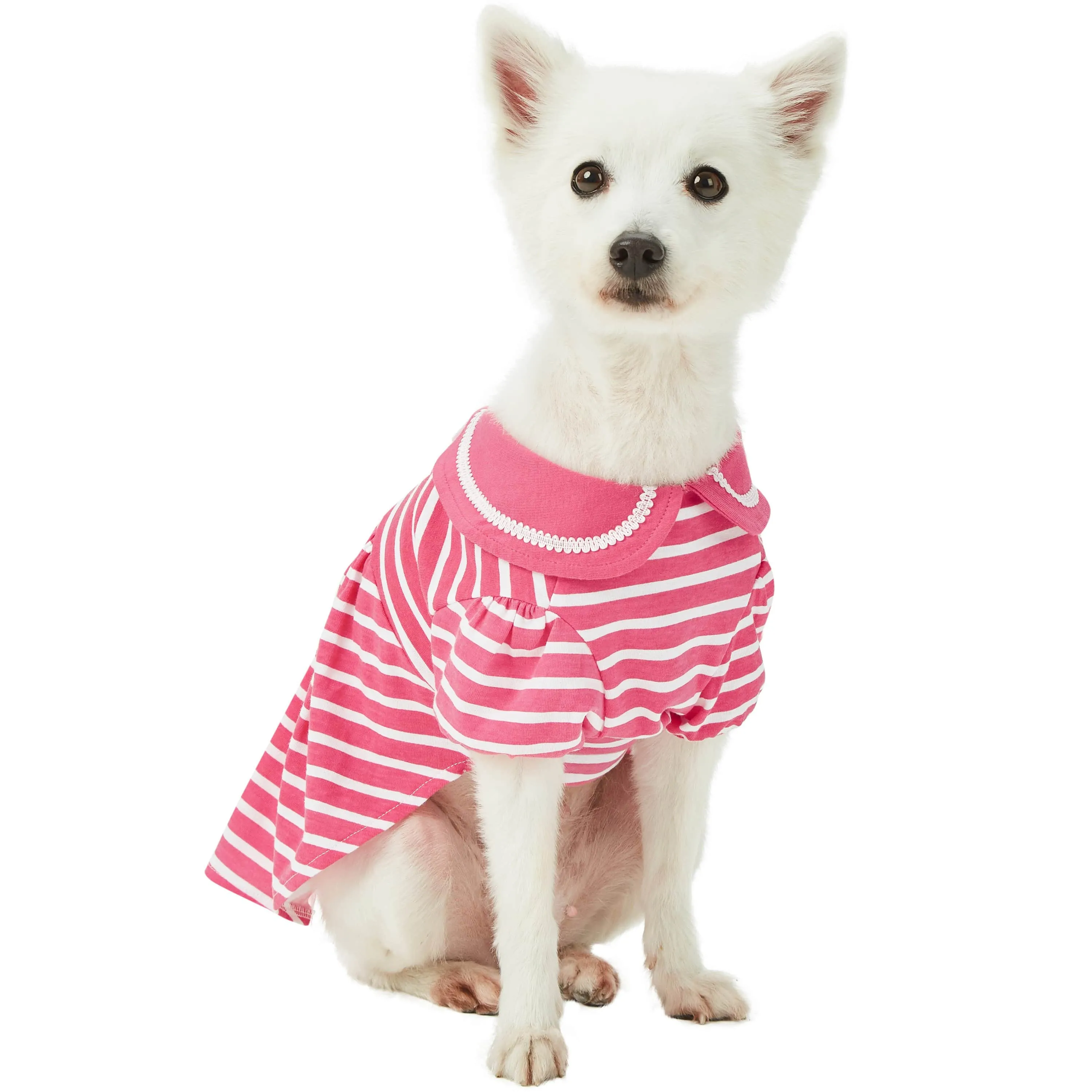 Summer Vacation Beach Dog Dress, Sea Lover Rose Pink Striped Dress